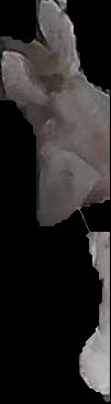 Crop