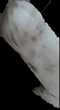 Crop