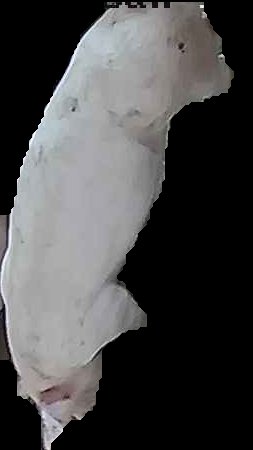 Crop