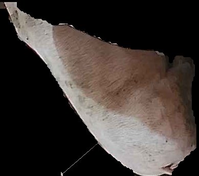 Crop