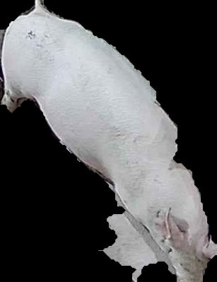 Crop