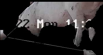 Crop
