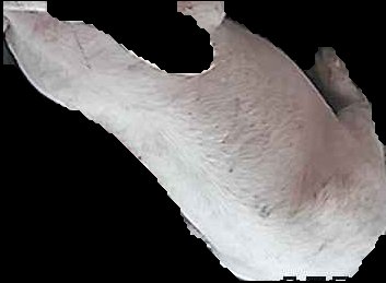 Crop
