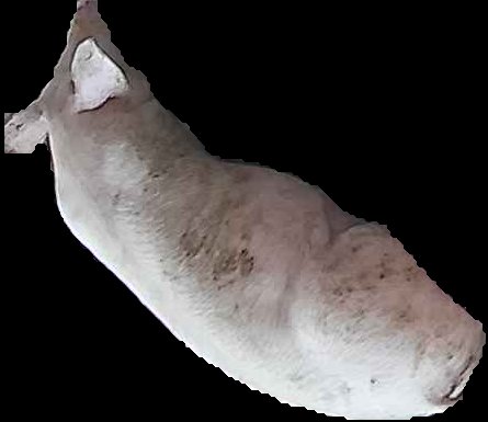 Crop