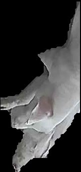 Crop