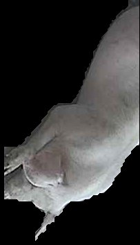 Crop