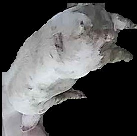 Crop