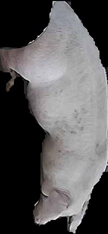 Crop
