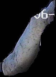Crop