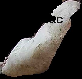 Crop