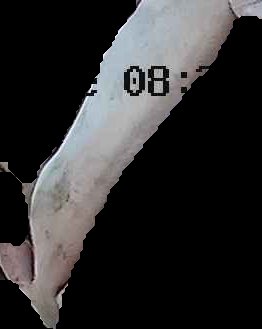 Crop