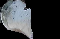 Crop