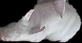 Crop