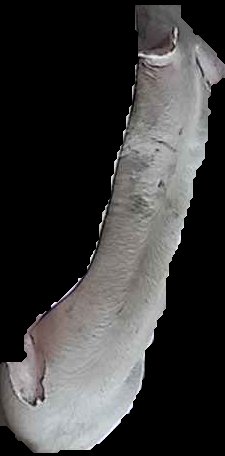 Crop