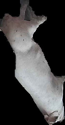Crop