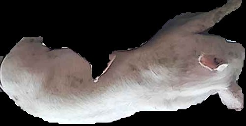 Crop