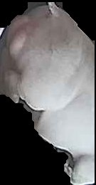 Crop