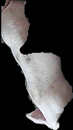 Crop