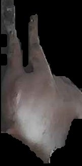 Crop