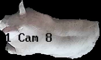 Crop