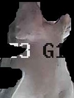 Crop