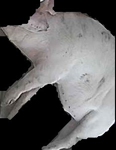 Crop
