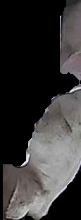 Crop
