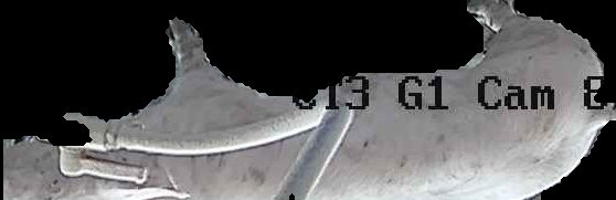 Crop