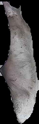Crop