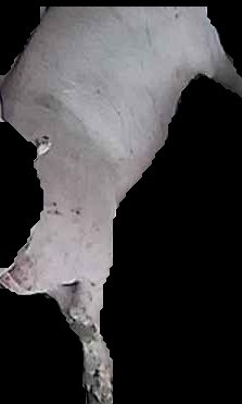 Crop