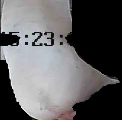 Crop