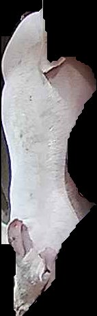 Crop