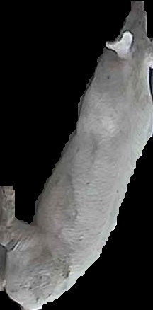 Crop