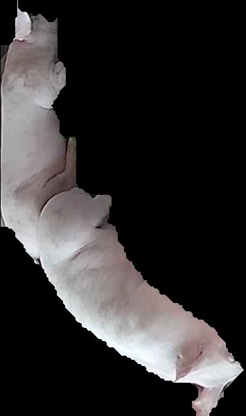 Crop