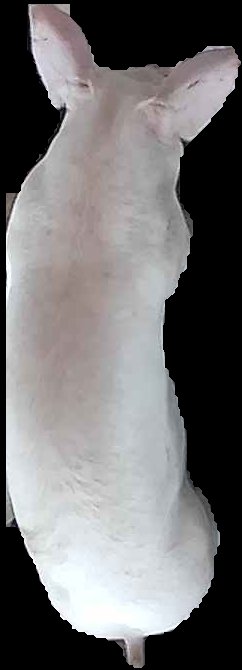 Crop