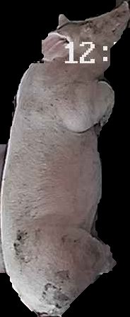 Crop