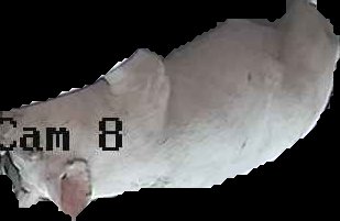 Crop