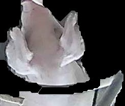 Crop