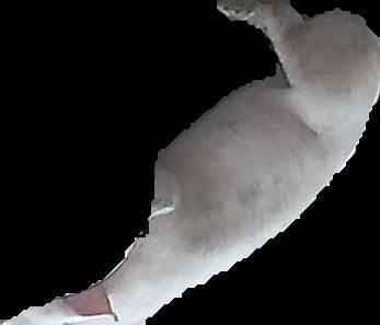 Crop
