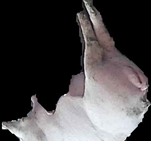 Crop