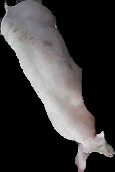 Crop