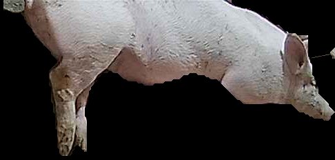 Crop
