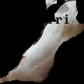Crop