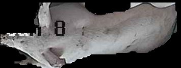 Crop