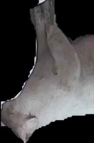 Crop