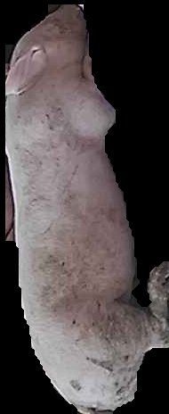 Crop
