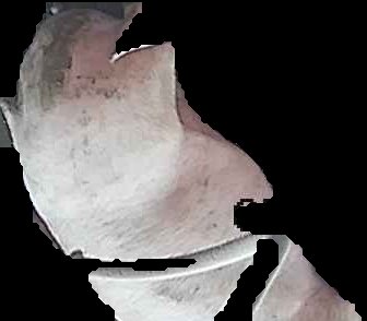 Crop