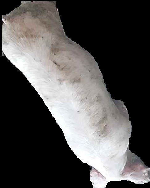 Crop