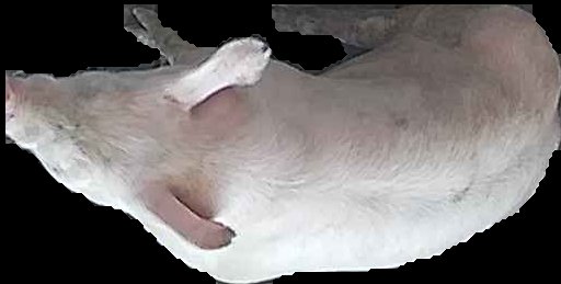 Crop
