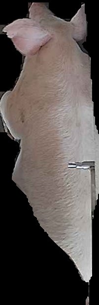 Crop